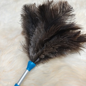 China Factory Espanador <strong>Dusters</strong> <strong>Extendable</strong> Feather <strong>duster</strong> for Cleaning - Product Image 3