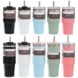 20/30OZ Double Wall Stainless Steel Tumbler Vacuum Insulated Powder Coated Water Tumbler with Straw Lid