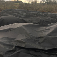 Fraise Uv Stabilisé Pp Spunbond Film de paillis agricole non tissé barrière contre les mauvaises herbes en tissu non tissé