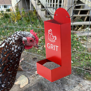 Nouveau design <span class=keywords><strong>Coquille</strong></span> d'huître pour poulets Mangeoire suspendue en métal pour poulets Mangeoire automatique pour volailles Abreuvoir automatique pour poulets - Product Image 6