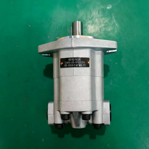 Moteur hydraulique GM5-6 GM5-8 GM5-10 GM5-12 GM5-16 GM5-20 GM5-25 GM5-30 GM5-20-1H-15F GM5-25-FE13S - Product Image 6