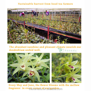 Té de Flores Herbales Chinas Sueltas, Hierbas Valiosas, Tie Pi Shi Hu, Dendrobium Officinale, Flores Secas Naturales de Orquídea - Product Image 6