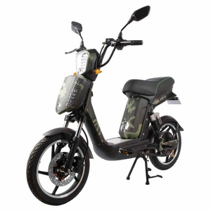 電動バイクカスタマイズロゴ48v 12Ah鉛蓄電池電気自動車250W - Product Image 5