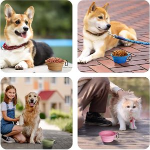 Bol pliable en silicone pour animaux de compagnie avec logo personnalisé, facile à nettoyer, pliable, pour chien, pour chiot, pour l'extérieur - Product Image 5