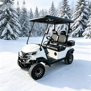 Voiturette de golf électrique stable pour le transport récréatif sur sites privés et hors routes publiques, homologuée DOT CE EEC - Product Image 1