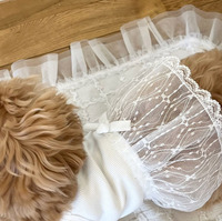 Nouvelle jolie robe en dentelle pour animaux de compagnie, robe pour chien et chat