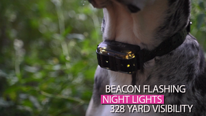 <span class=keywords><strong>Collar</strong></span> de entrenamiento para perros, 2400 metros de alcance, recargable e impermeable, <span class=keywords><strong>collar</strong></span> eléctrico para perros con vibración/choque estático - Product Image 3