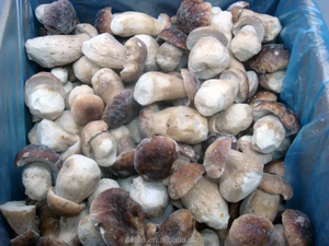 Detan-setas de porcini con seta de temporada, setas de porcinilo salvajes congelados - Product Image 5