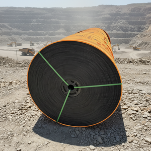 신뢰할 수 있는 PVC 솔리드 직조 난연 컨베이어 벨트(발전소 연료 공급용) - Product Image 1