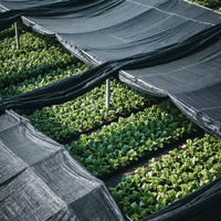 Zwarte HDPE zware kwaliteit milieuvriendelijk buitenzonwering met UV-bescherming voor landbouw, bloementuinen en tuinbouw.