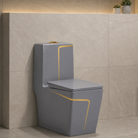 WC monobloc gris minimaliste moderne avec ligne dorée, chasse d'eau siphonique en céramique pour salle de bain contemporaine