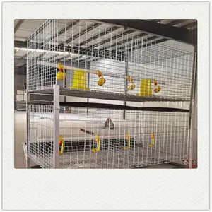 China manufacture broiler cage chicken coop laying broiler cages in Zimbabwe