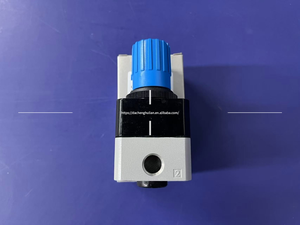 Nouveau régulateur de pression de précision FESTO, série LRP, LRPS, modèle LRP-1/4-2,5(162834) - Product Image 4