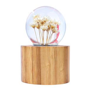 Carillon in Legno Mini Personalizzato con Musica e Design Rotante a Manovella - Regalo di Compleanno Popolare - Product Image 1