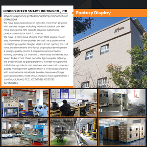 Đèn chiếu sáng sân vườn ngoài trời chống nước IP65, đèn cắm sân, đèn chiếu sáng mặt đất năng lượng mặt trời - Product Image 6