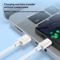 Kabel Data Pengisian Cepat USB-A ke C 6A dengan Bahan TPE untuk Ponsel, Kamera & Earphone
