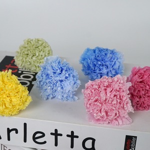 Clavel preservado de alta calidad al por mayor, <span class=keywords><strong>flores</strong></span> frescas eternas naturales para siempre para el regalo del Día DE LA Madre de vacaciones - Product Image 2