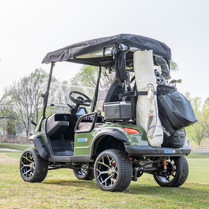 Carrito de Golf Personalizado 2026, Buggy de Golf de 2 Plazas con Batería de Litio, Color Personalizable - Product Image 3
