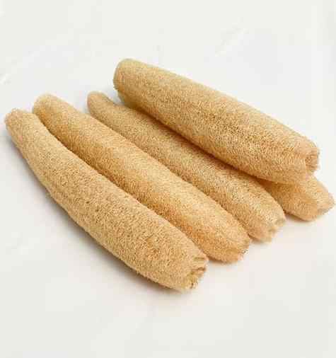 Natural Thai Loofah Sponges Gentle Non-Toxic Agriculture Product Unbeatable Wholesale Prices for Buyers