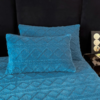 Drap-housse en flanelle chaud et doux, housse de matelas antidérapante, drap de lit anti-acariens pour chambre d'hiver et hôtel