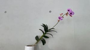 บอร์ดคอนกรีตหน้างานสำหรับงานตกแต่งภายในสไตล์อุตสาหกรรมบอร์ดซีเมนต์มีรูสำหรับตกแต่ง - Product Image 4