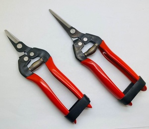 Chất Lượng Tốt Phổ Biến Nho Kéo Cho Hái Trái Cây Kéo Cắt Tỉa Cắt Kéo Vườn - Product Image 3