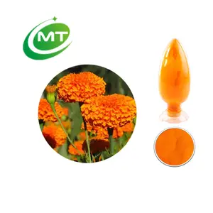 Diskon besar sampel gratis ekstrak bunga Marigold Afrika alami 10%-80% Lutein