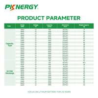 Baterai PKNERGY 5000mah 21700 Sel Baterai Lithium Isi Ulang 3.7v 21700 5000mah untuk Kamera