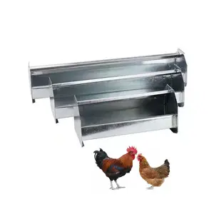 Mangeoire pour animaux de ferme avicole Abreuvoir Équipement Mangeoires pour volailles Mangeoires pour poulets en métal galvanisé Abreuvoirs et mangeoires pour poulets de chair