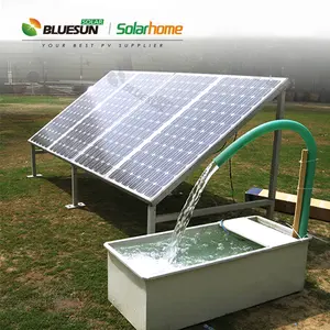 Bluesun in acciaio inox sistema di pompa solare 1Kw 2Kw pompa di acqua solare con Controller per l'agricoltura di irrigazione