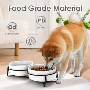 Gamelle en céramique pour chien, double/simple, à alimentation lente, avec support métallique pour chien et chat, vente en gros - Product Image 2