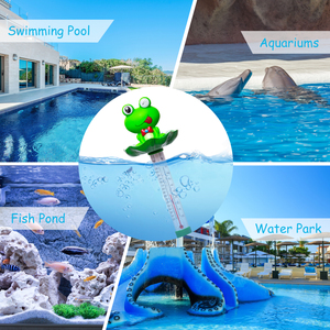 Termómetro de queroseno de alta calidad más vendido termómetro de piscina de rana impermeable lindo para el hogar - Product Image 6