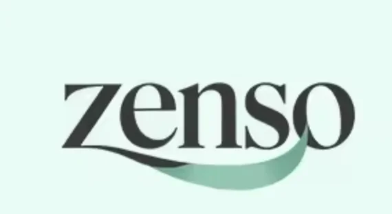 Dongguan Zenso Packaging Co., Ltd. logo