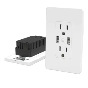 American 2 Port USB C Wall Outlet Fast Charger USB Charging Port Smart Tuya Alexa Remote Control Smart Wifi Wall Socket Outlet