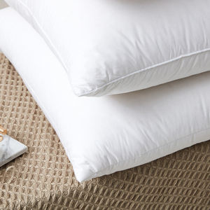 Almohada de plumón de pato blanco, <span class=keywords><strong>cojines</strong></span> de <span class=keywords><strong>plumas</strong></span>, almohada de inserción de esfera personalizada, almohada decorativa - Product Image 3