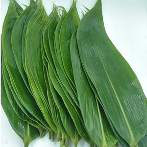 <span class=keywords><strong>Foglia</strong></span> <span class=keywords><strong>di</strong></span> bambù essiccata intera naturale grezza essiccata <span class=keywords><strong>di</strong></span> qualità Premium da 99 dati in oro Viet Nam - Product Image 1