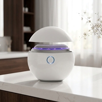 Appareil de beauté portable OEM, nouveau design, masseur Gua Sha, micro-courant chauffant, relaxation musculaire pour la maison