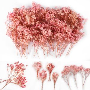 AYOYO Flor eterna Flor seca Full Sky Star Paquete de flores pequeñas 15cm, 5 piezas/paquete, decoración de boda y familia - Product Image 2