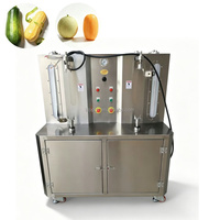 Automatische Ananas Schilmachine Commerciële Pompoen Papaya Fruit Schiller Hoge Opbrengst Fruit Groente Schil- en Ontschilmachine
