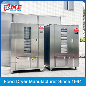 WRH-100GN điện dâu tây Táo Nho vỏ cam Máy sấy trái cây dehydrator để bán - Product Image 5