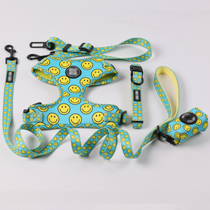 Okeypets, venta al por mayor, Collar personalizado para perros, ajustable, sin tirones, para caminar al aire libre, conjunto de collar y correa de perro de neopreno - Product Image 5