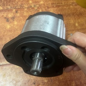 Rexroth Gear <b>Pump</b> AZPW-21-011RQRXXMB-S0593 250 <b>Bar</b> 1 Stage Vertical Industrial Hydraulic <b>Pump</b> - Product Image 2
