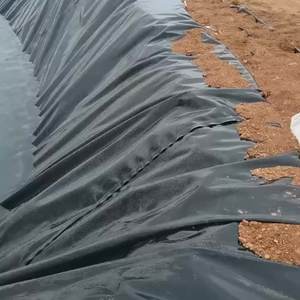 HDPE Sızıntı Önleyici Havuz Düz Dokulu <span class=keywords><strong>Membran</strong></span> 2Mm 1 Mm 1.5 Mm Baraj Kaplaması UV Dayanımlı HDPE Geomembran Tarım Çiftlikleri İçin - Product Image 3