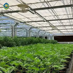 Sainpoly Thailand Greenhouse Turnkey Projects Full Automatic Greenhouse Hemp Black Out Green House Light Dep Greenhouse