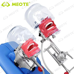 Foshan meite dentista formazione insegnamento con la testa della mascella modello dentale Phantom Manikin simulatore Typodont - Product Image 5