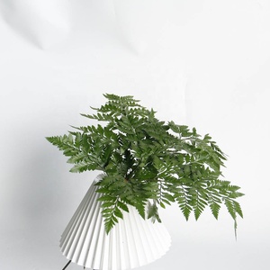 Petites feuilles de fougère préservées, colorées et attrayantes, avec tige, pour la décoration florale de jardin et de Noël - Product Image 4