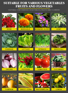 Sembradora <span class=keywords><strong>de</strong></span> <span class=keywords><strong>Sandía</strong></span>, Bandeja <span class=keywords><strong>de</strong></span> Semilleros, Sembradora Automática <span class=keywords><strong>de</strong></span> Semillas - Product Image 3