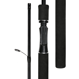 Canne à pêche complète ultralégère pour eau salée, manche droit, portable, pour la pêche en eau douce, rivière, verre - Product Image 2