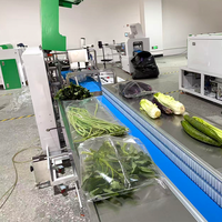 Machine d'emballage horizontale automatique à haute productivité pour légumes frais et aliments, avec perforation et emballage en film de type coussin