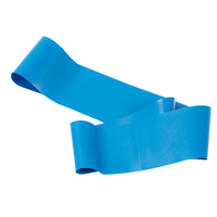 SHENGDE Ensemble de mini-bandes de résistance élastiques personnalisables avec logo, 5 bandes de hanches en TPE pour yoga, pilates, entraînement, gym, fitness, exercice, 60 cm x 5 cm